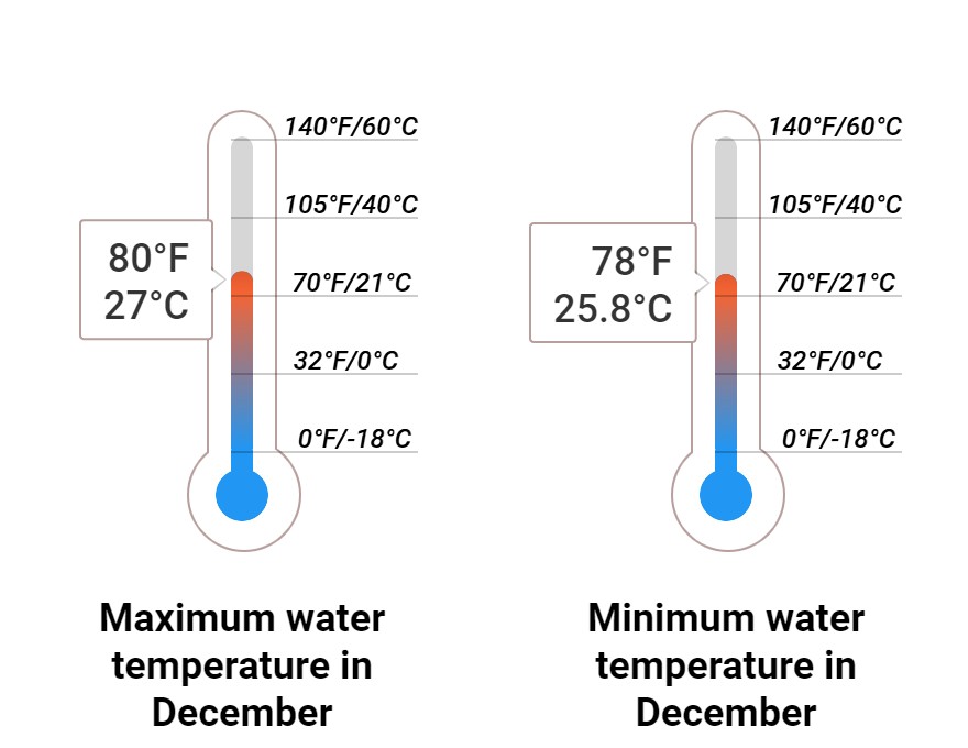 Average Sea temperature